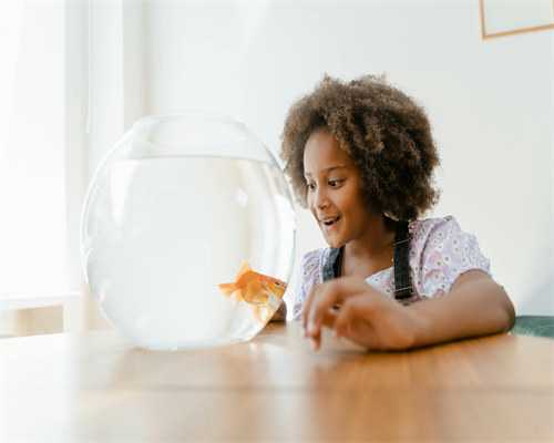 青岛2026年试管婴儿代孕成功率突破85%：本地化服务助您圆梦